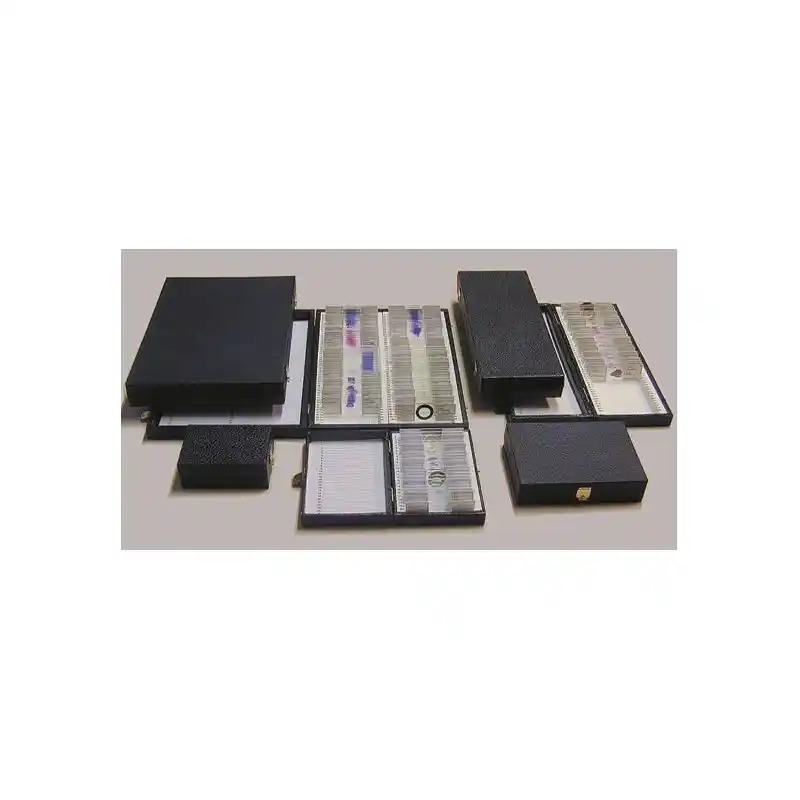 LIEDER K12, Box for prepared slides for 12 slides