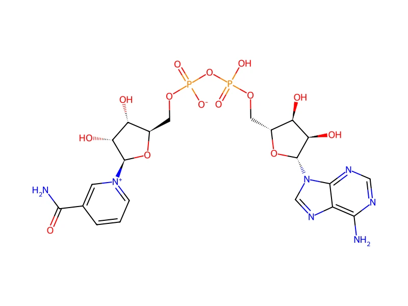 Beta-Nicotinamide adenine dinucleotide hydrate – neat CRM, 100 mg