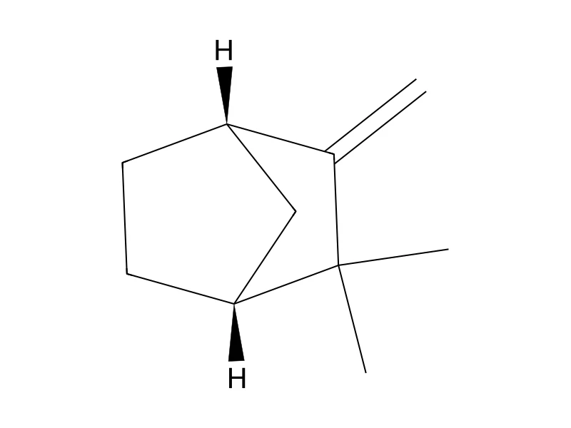 (+)-Camphene – neat CRM, 100 mg
