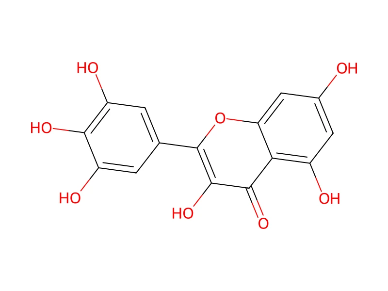Myricetin – neat CRM, 100 mg