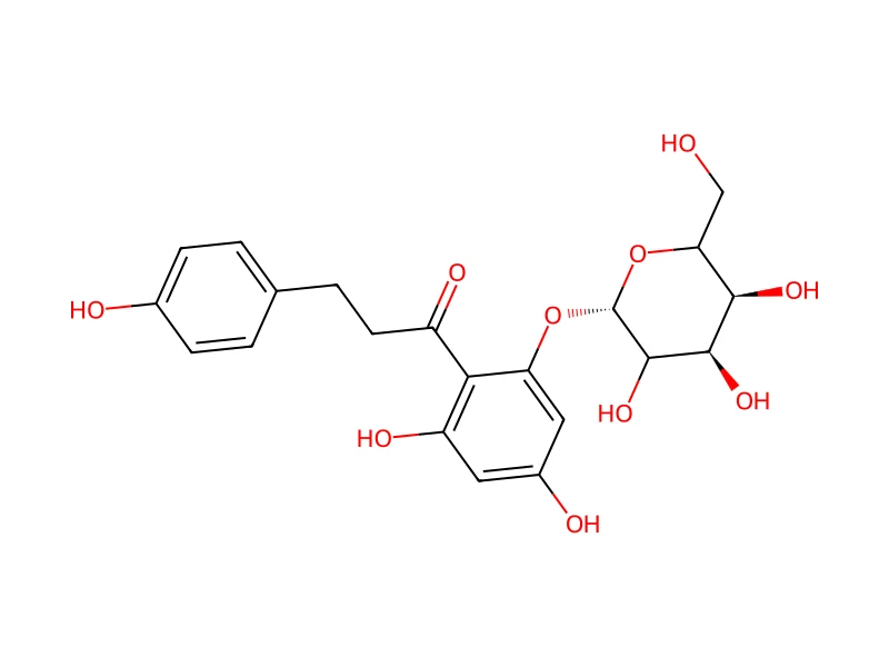 Phlorizin Hydrate – neat CRM, 100 mg
