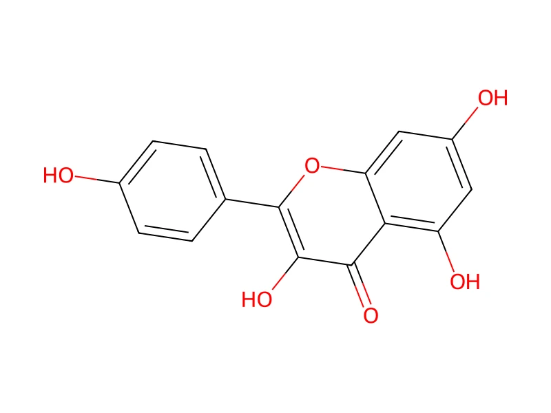 Kaempferol – neat CRM, 25 mg