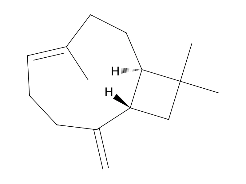 (-)-trans-Caryophyllene – neat CRM, 100 mg