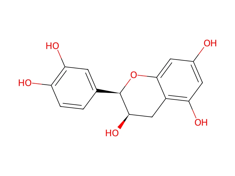 (-)-Epicatechin – neat CRM, 100 mg