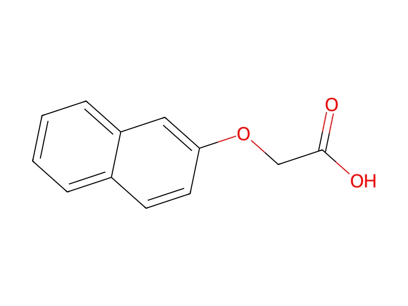 2-Naphthoxy acetic acid – neat CRM, 250 mg