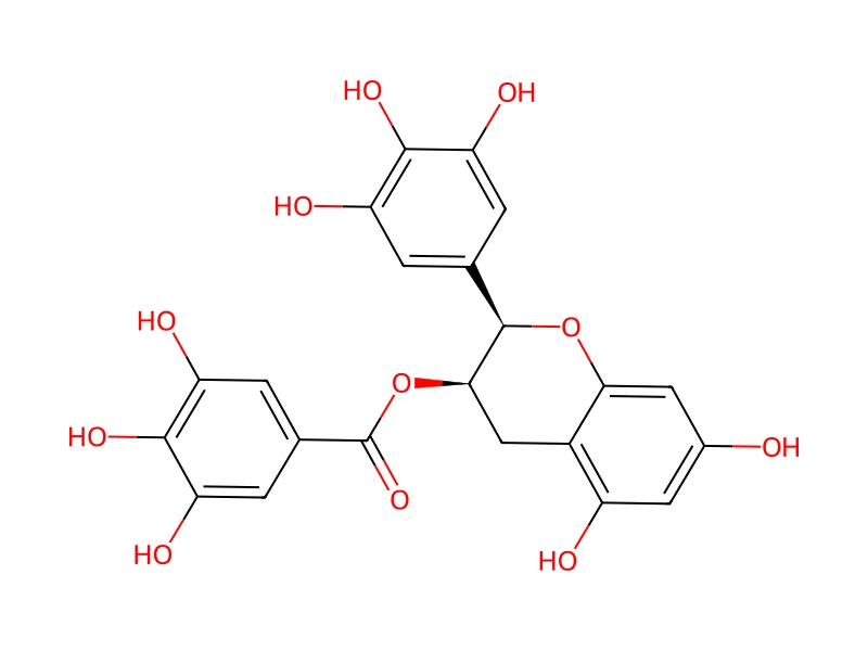 (-)-Epigallocatechin gallate – neat CRM, 100 mg