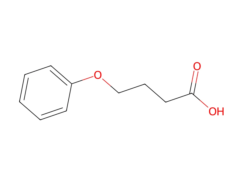 4-Phenoxybutyric acid – neat CRM, 100 mg
