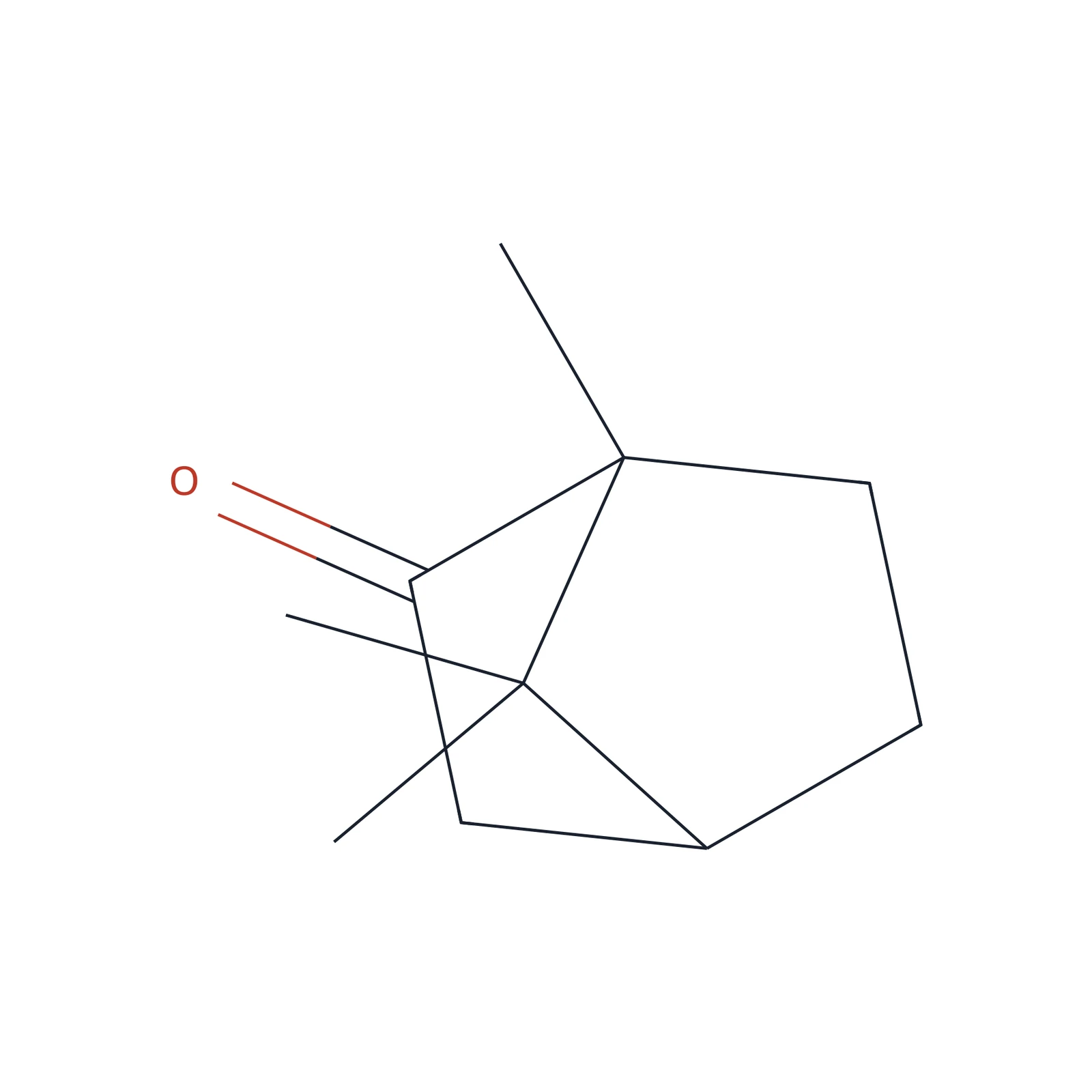 Camphor (RACEMIC) CRS, 50 mg