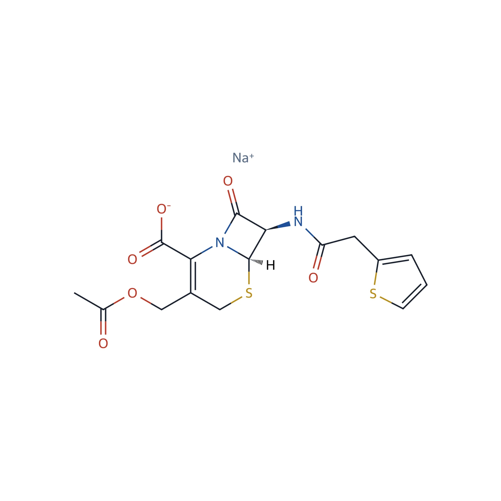 Cefalotin sodium CRS, 170 mg