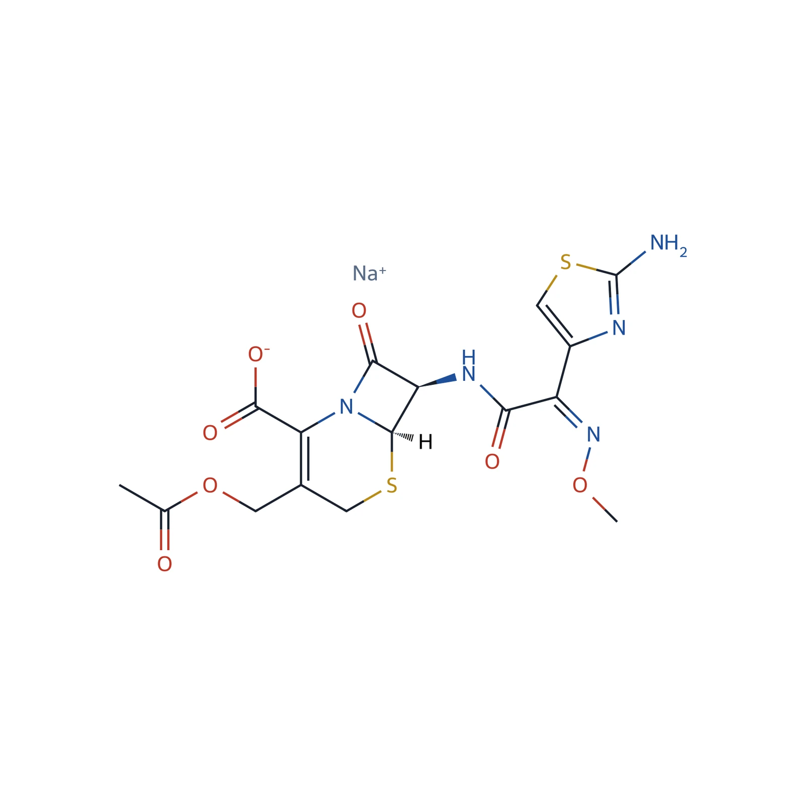 Cefotaxime sodium CRS, 20 mg