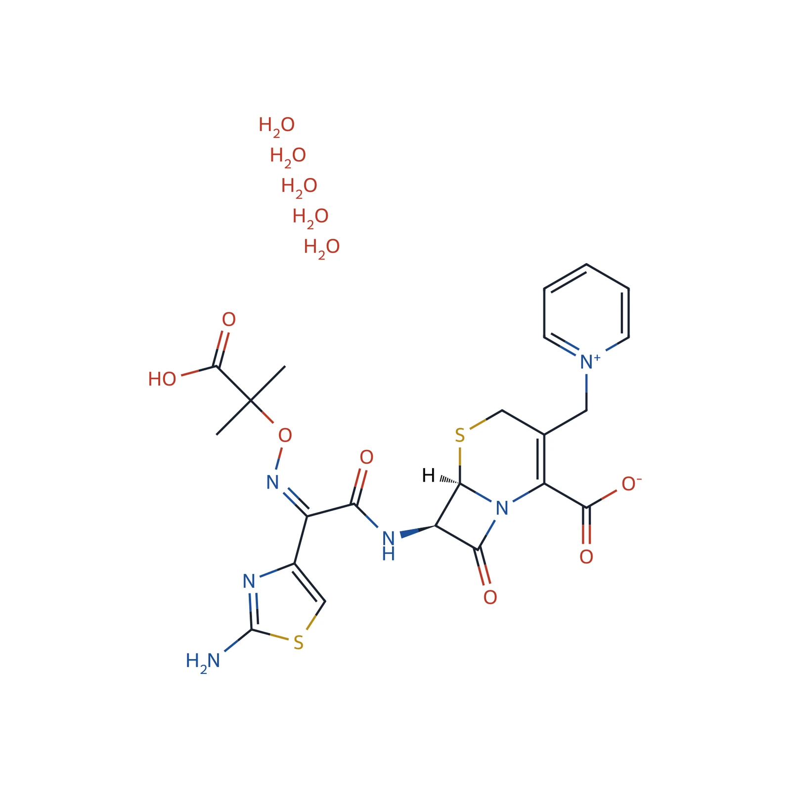 Ceftazidime CRS, 70 mg