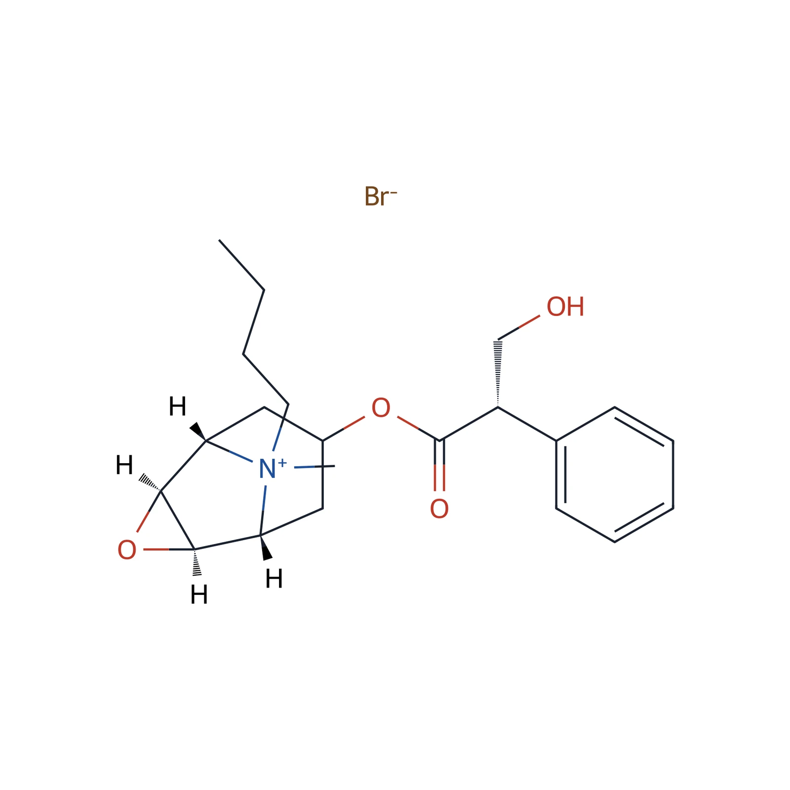 Hyoscine butylbromide CRS, 20 mg