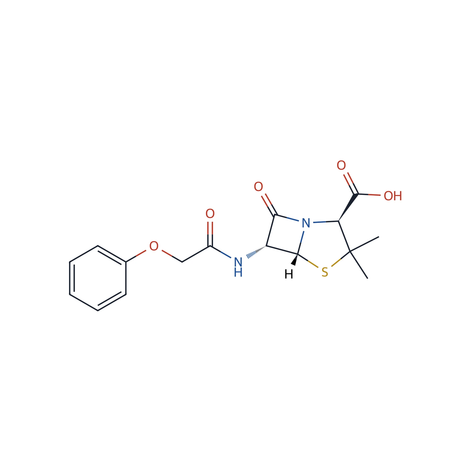Phenoxymethylpenicillin CRS, 250 mg