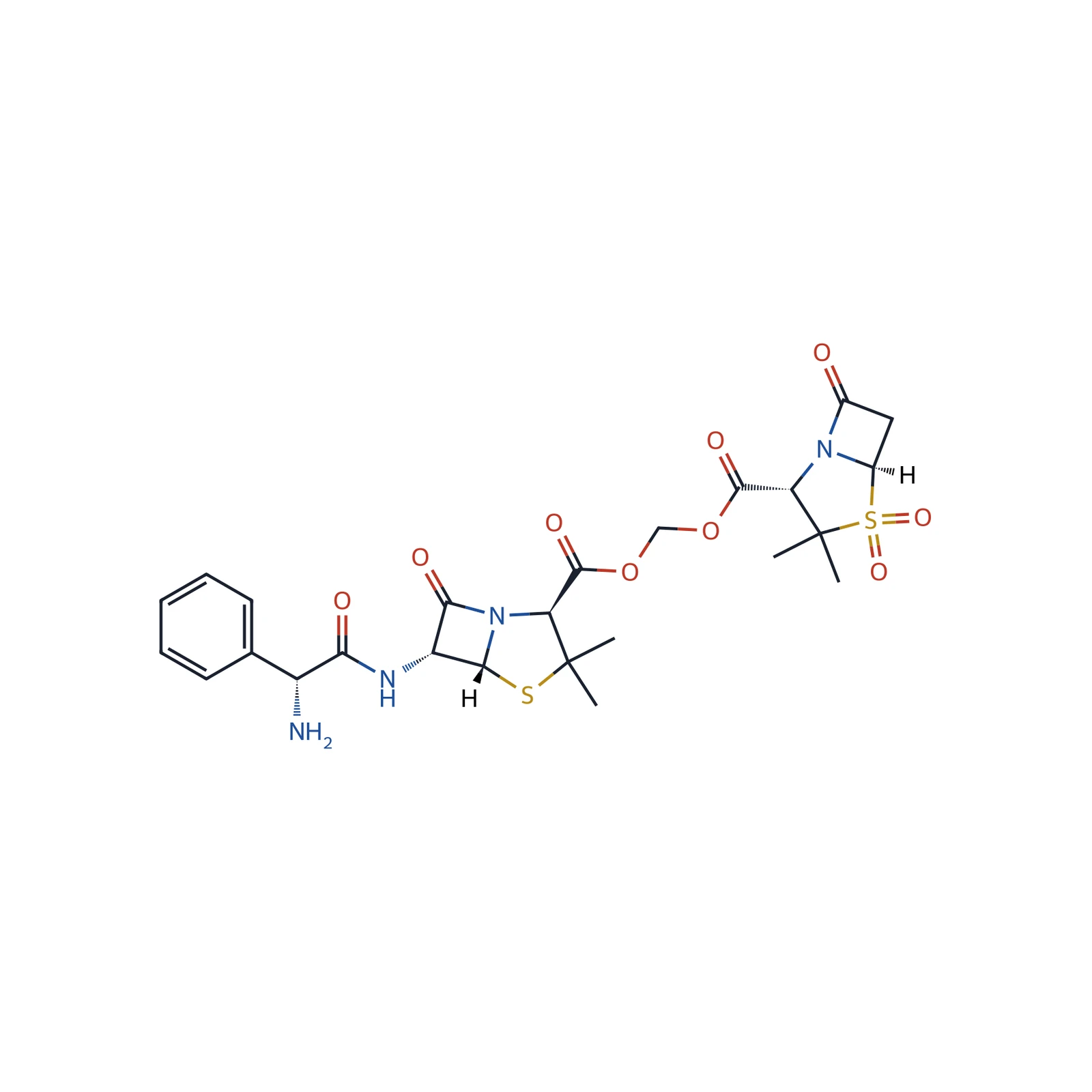 Sultamicillin for peak identification CRS, 10 mg