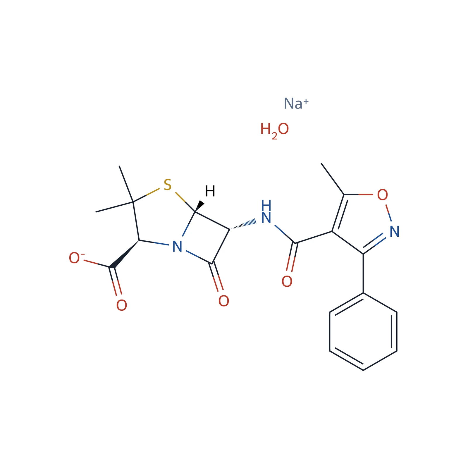 Oxacillin sodium monohydrate CRS, 130 mg