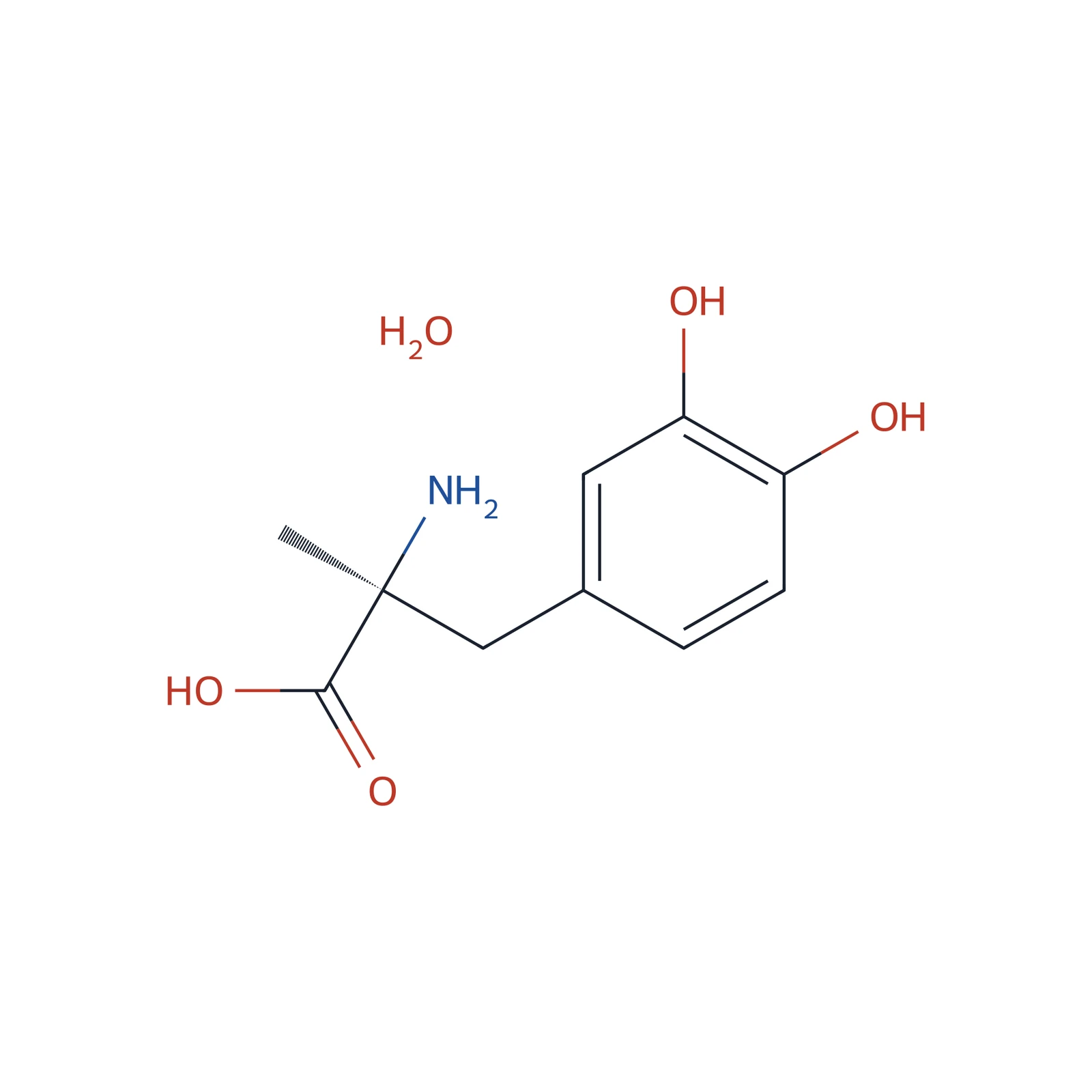Methyldopa for system suitability CRS, 0.024 mg