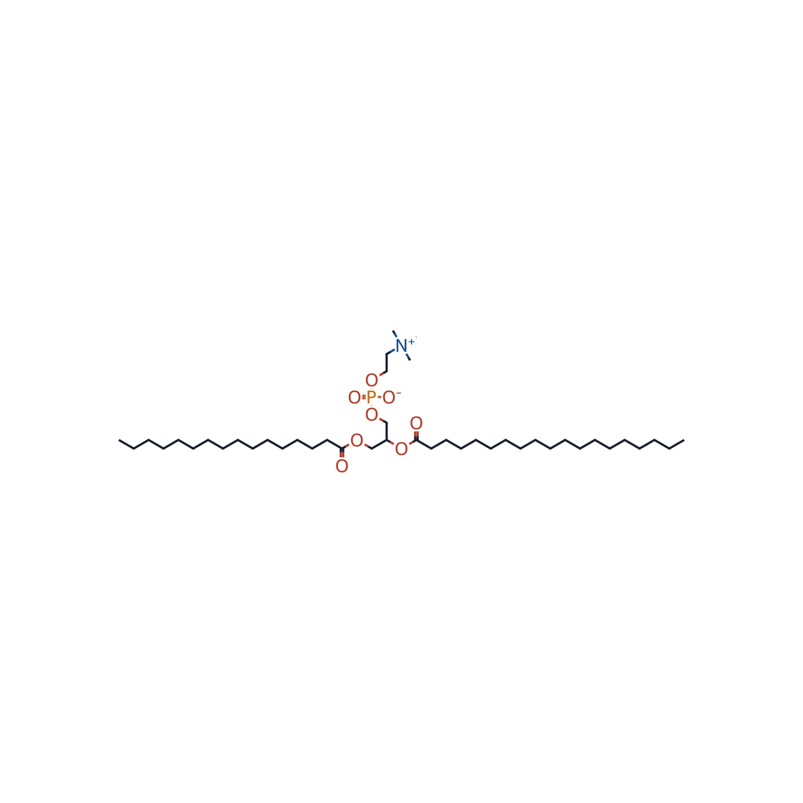 Phosphatidylcholine from egg yolk CRS, 250 mg