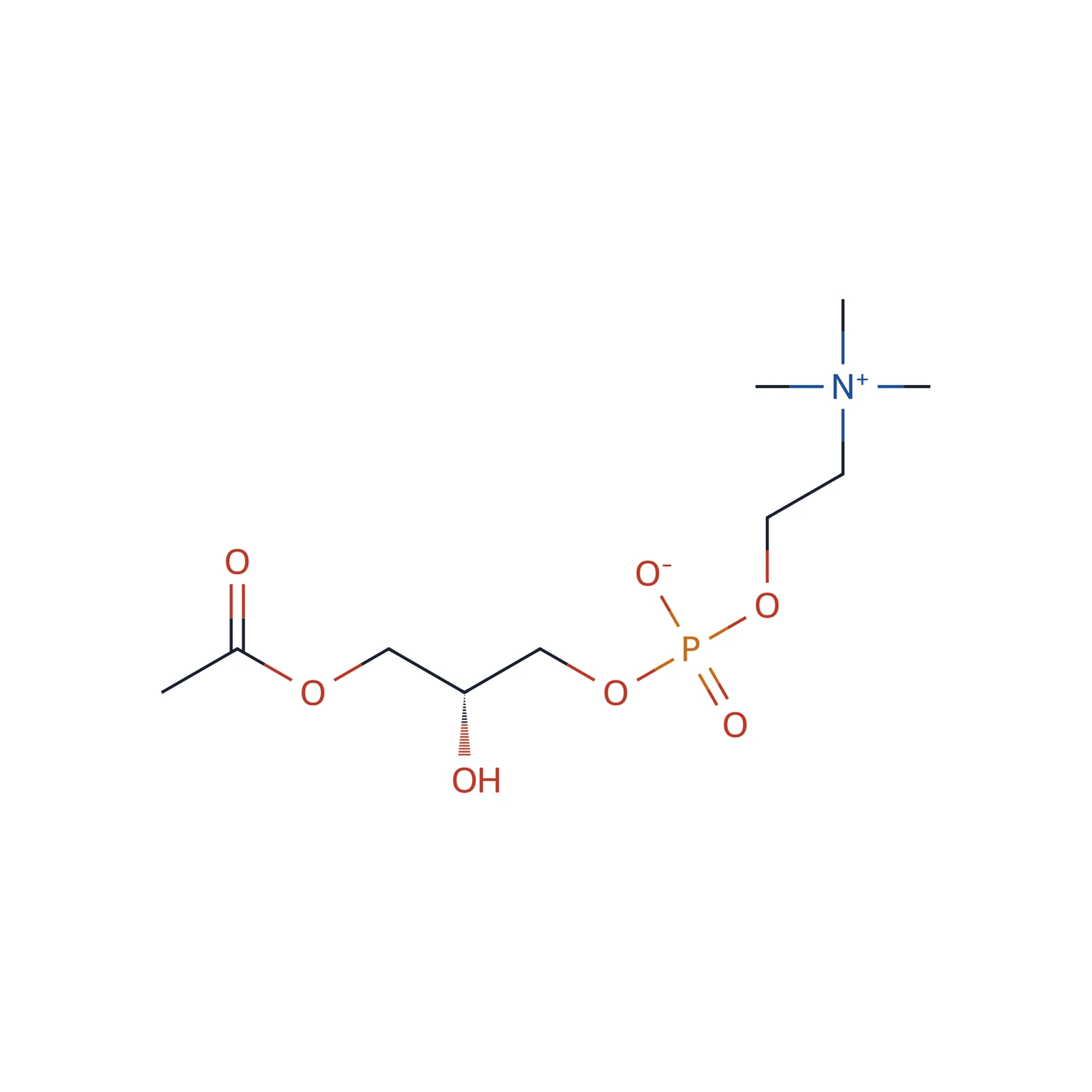 Lysophosphatidylcholine from soya bean CRS, 200 mg