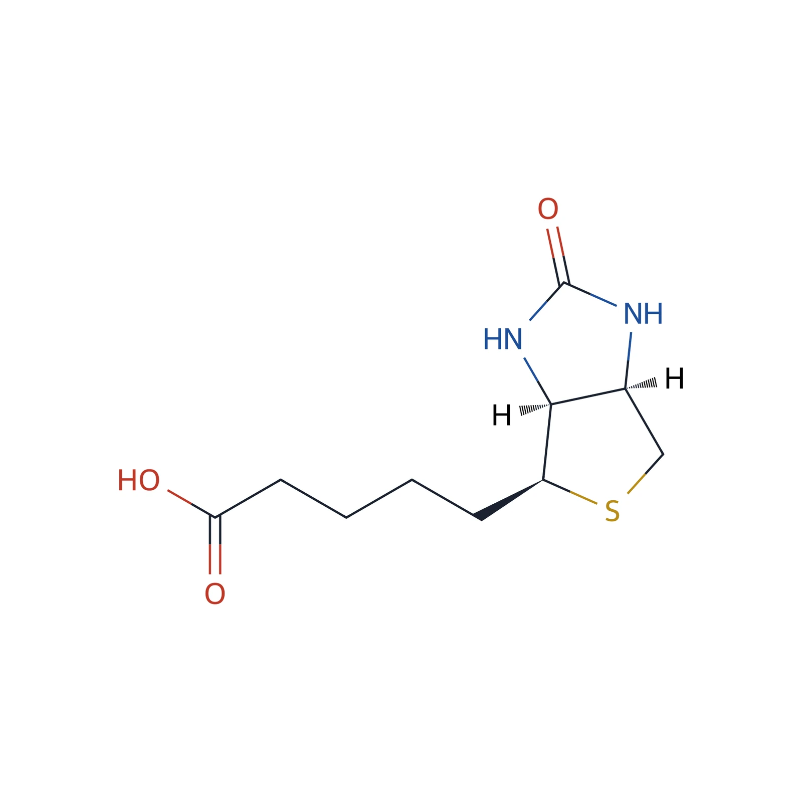 Biotin for system suitability CRS, 10 mg