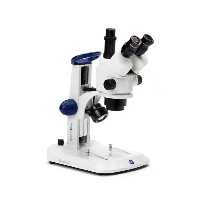 Euromex StereoBlue SB.1903, zoom, trino