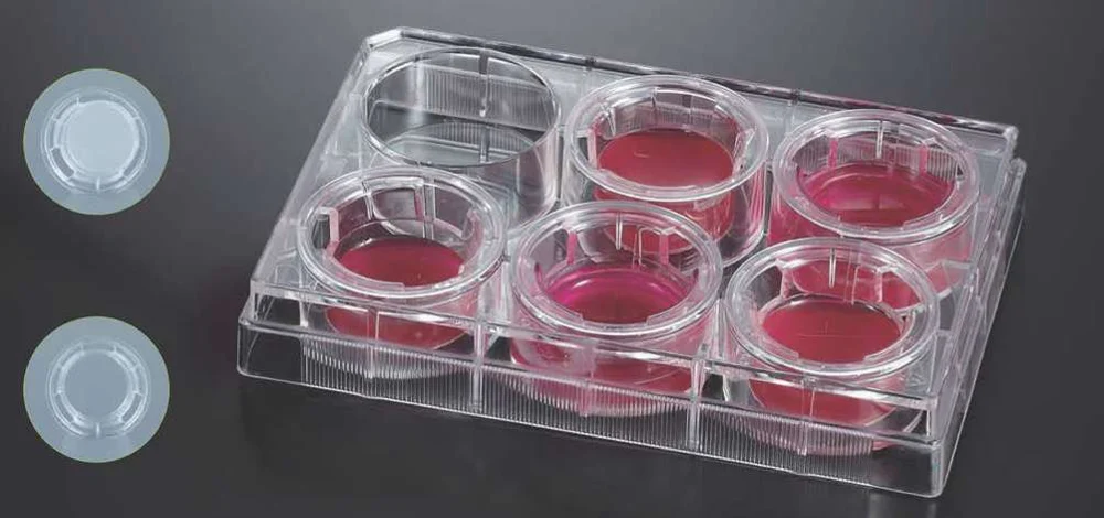 Tissue Culture Plate Inserts 6.5mm Insert, 24W Plate, PC membrane, 3µm, Treated, Sterilized, 12pcs/plate, 4plates/cs, Polycarbonate, 12/pk