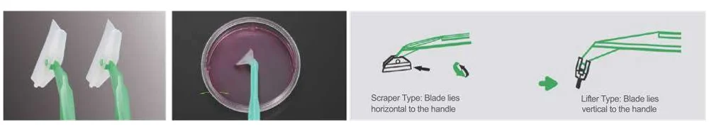 Cell Scrapers39cm Cell Scraper, Sterilized, Non-pyrogenic, (Individually wrapped, 100pcs per bag/case), 1/pk