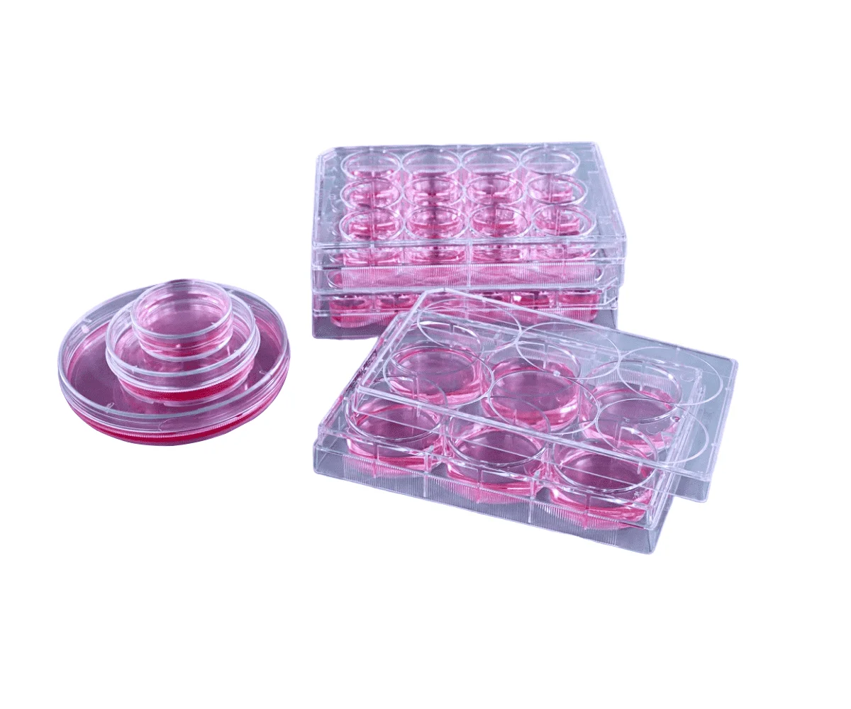 12 well, Poly-D-lysine Coated, Dnase/Rnase-free, Non-pyrogenic, Sterilized, 1/pk, 10/inner box, 60/case, 1/pk