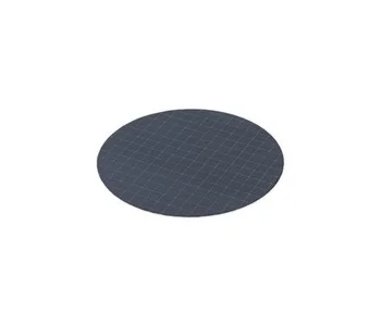 Filter, Disk, GE, PCTE, BL, 0.4µm, 8x10in, 30/Pk