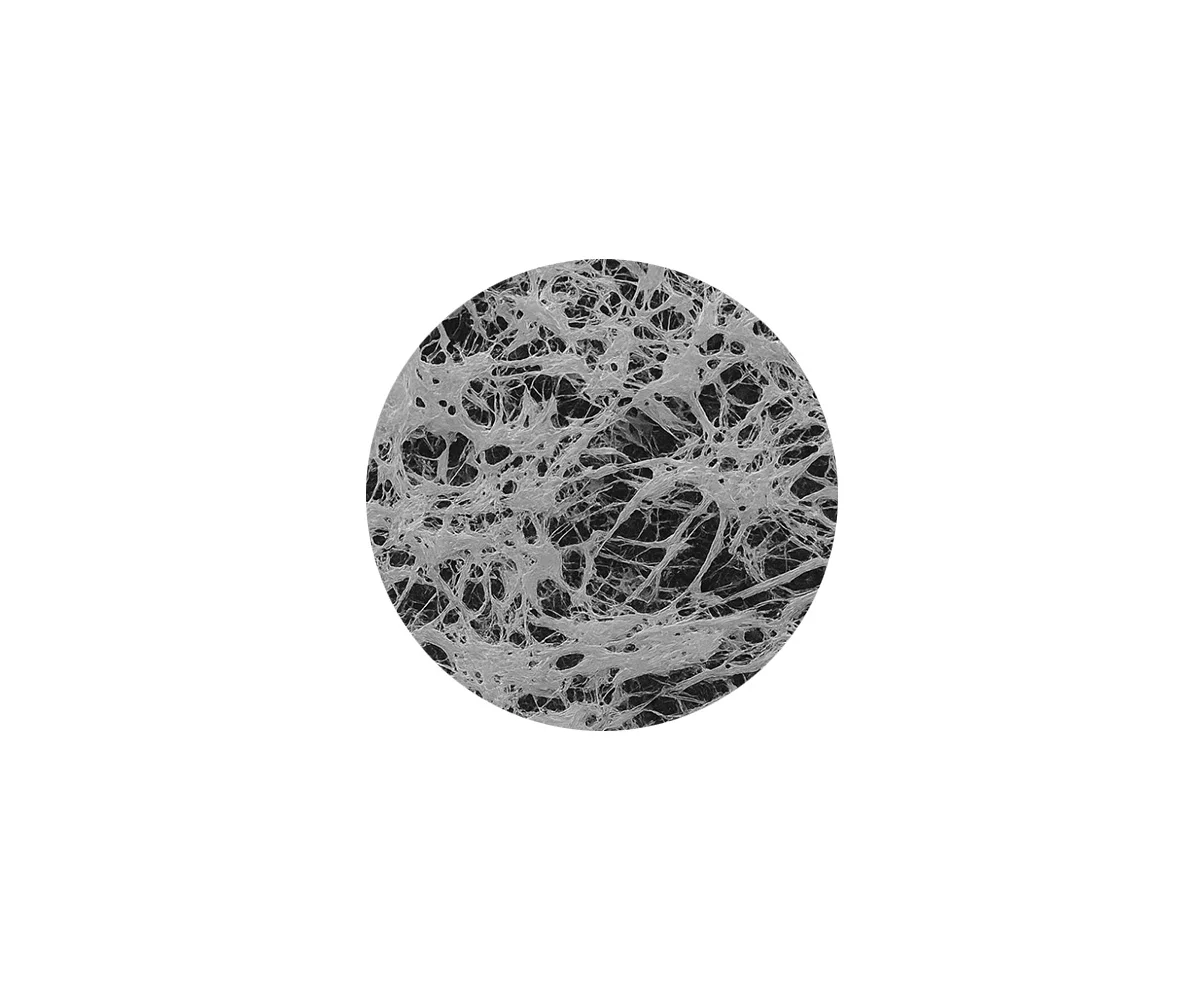 Filter, Disk, PTFE, Hydrophilic, 0.22µm, 47mm, 50/Pk