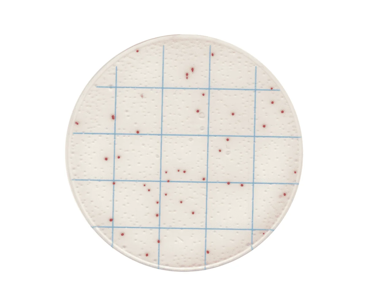 Lactic Acid Bacteria Count Plate, 25/pk
