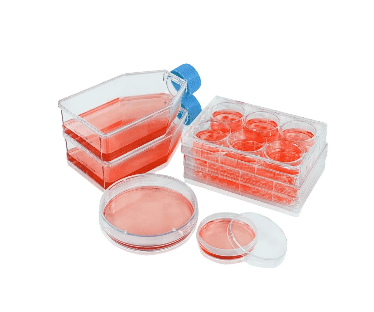 6well, Ultra-low Adsorption Surface, 1pcs/bag，10bags/box, 60pieces/case, 1/pk
