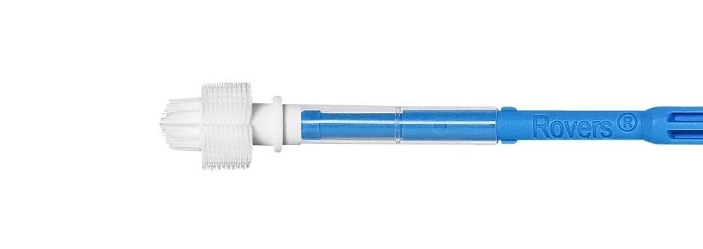 Rovers® Orcellex® Brush RT sterile, sterile, single packed