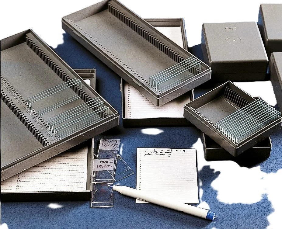 Storage case, for 50 slides, black, high impact PS, 230 x 97 x 35 mm, for microscopic slides 76 x 26 mm