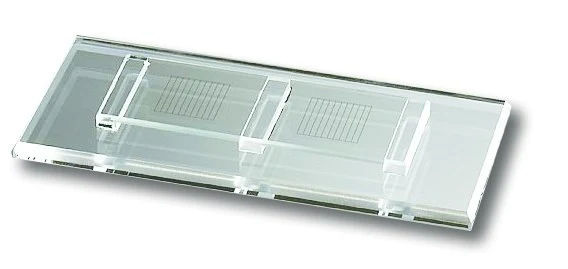 Mc Master counting chambers, English model, with 2 counting grids glued on 3 fins
