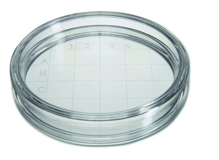 Contact Plates, Ø 60 mm, 10 x 10 mm counting net