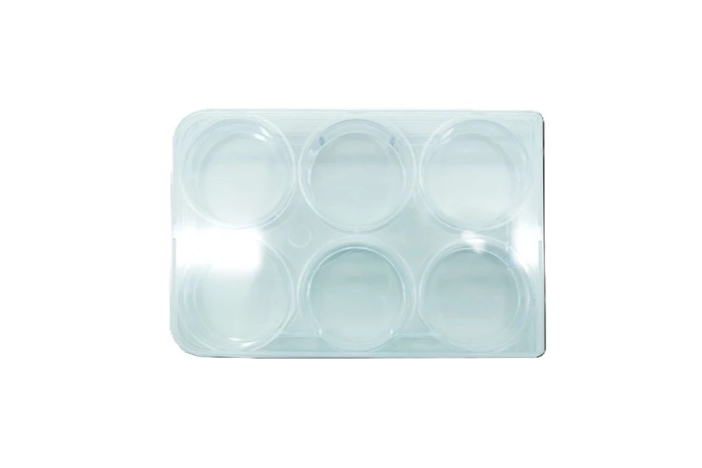 Macro Plates, Macro plates F-bottom