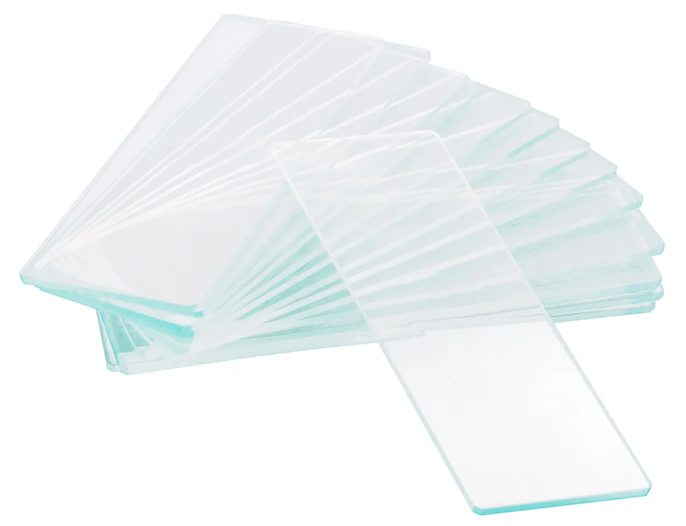 Levenhuk Microscope slide G50 1H 50 pieces