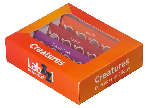 Levenhuk C12 Permanent sample set