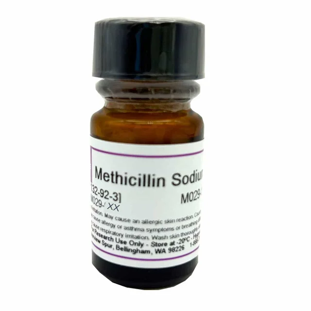 Methicillin Sodium 1 g