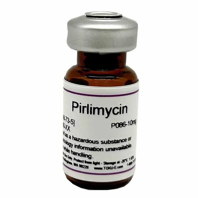 Pirlimycin 1 mg