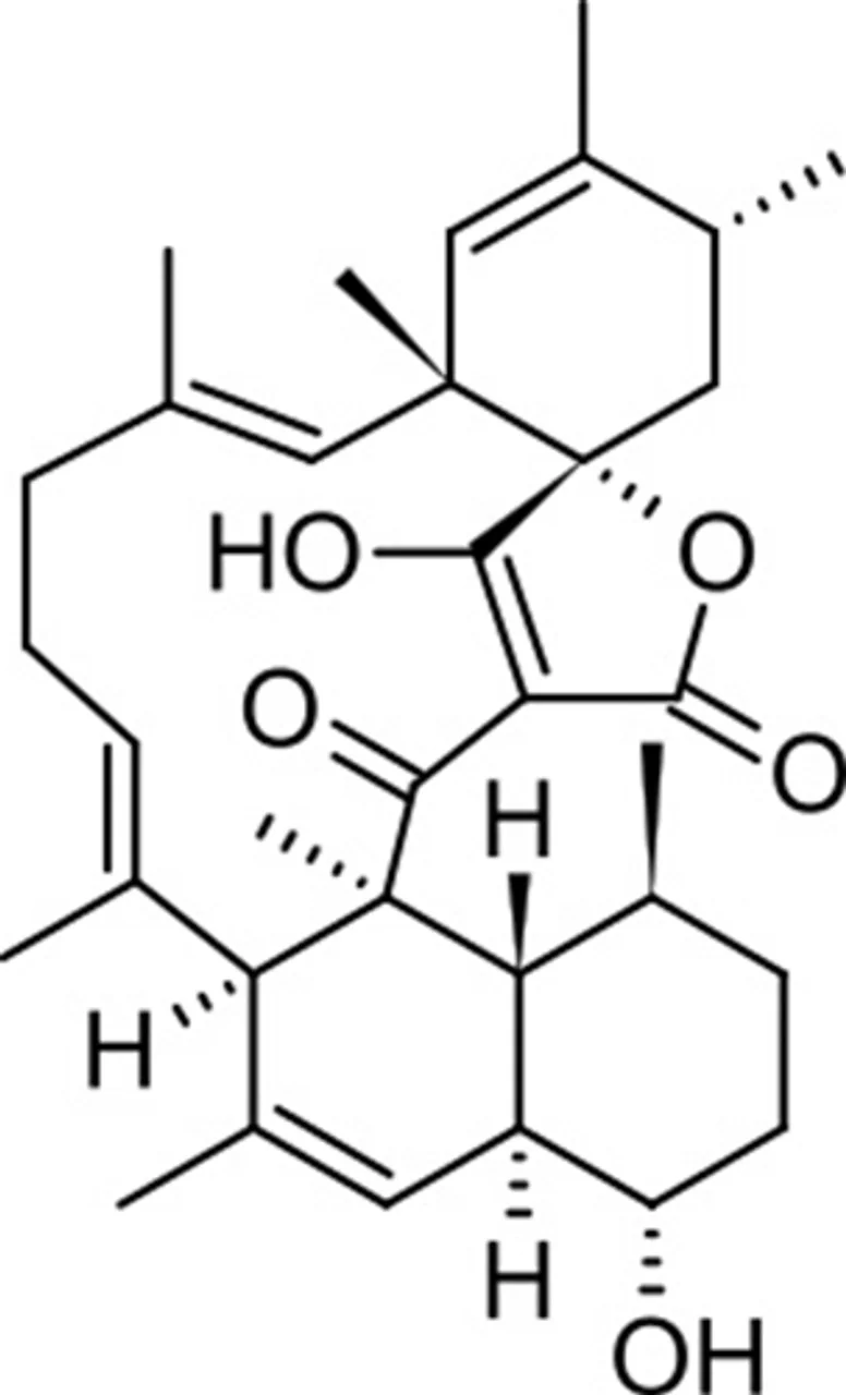 Tetromycin B 0.5 mg