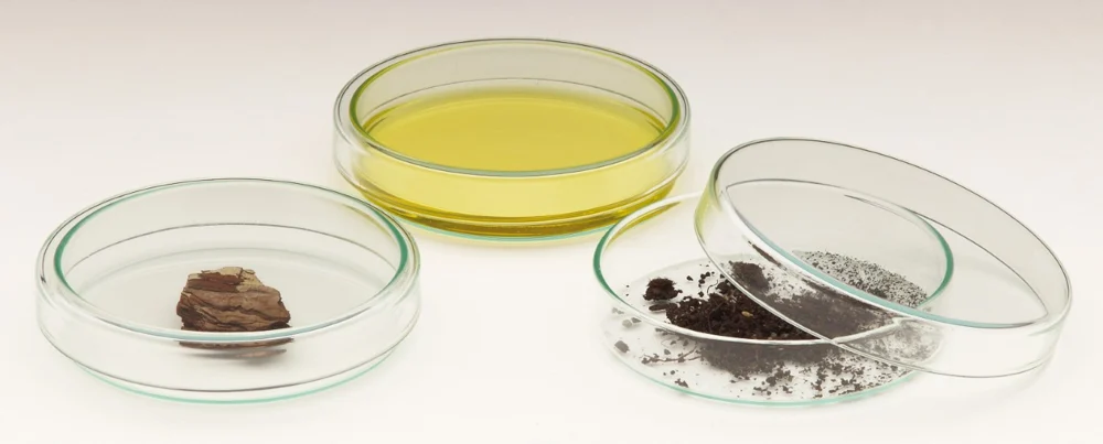 Windaus Petri dishes, 200x30mm, glass